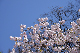 image0245