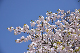 image0246
