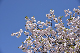 image0248