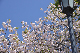 image0249