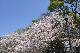 image0250