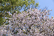 image0251