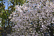image0252
