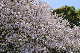 image0253