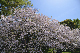 image0254