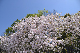 image0255