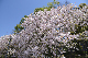image0256