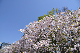 image0257