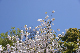 image0261