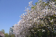 image0262