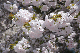 image0263