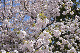 image0265