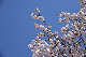 image0267
