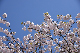 image0268