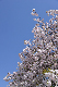image0269
