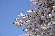 image0270
