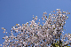 image0271