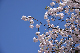 image0272