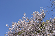 image0274