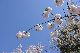 image0275