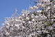 image0276