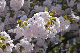 image0277