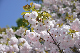 image0278