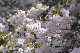 image0279