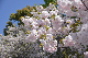 image0280