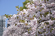 image0281