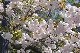 image0282