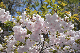 image0283