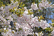 image0284