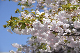 image0285