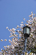 image0286