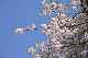 image0287