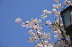 image0288