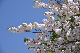 image0289
