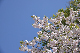 image0290