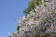 image0291