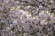 image0292