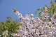 image0293