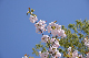 image0294