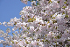 image0296