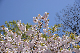 image0297
