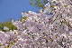 image0298