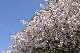 image0299