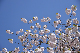 image0300