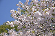 image0301