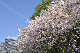 image0302